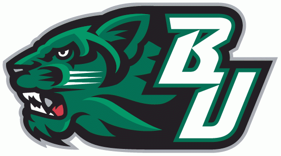 Binghamton Bearcats 2001-Pres Secondary Logo v3 diy iron on heat transfer